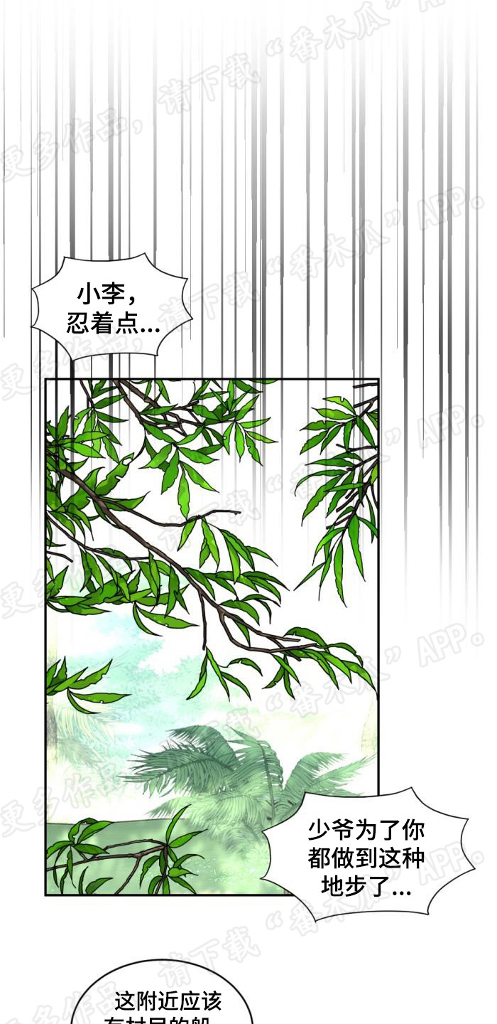 暹罗最美的少爷是什么品种漫画,第78章：杀人灭口2图