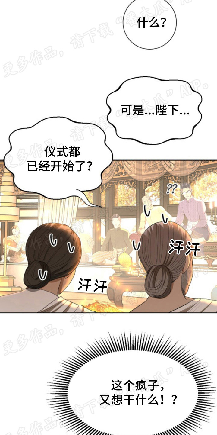 暹罗最美的少爷是什么品种漫画,第56章：证人1图