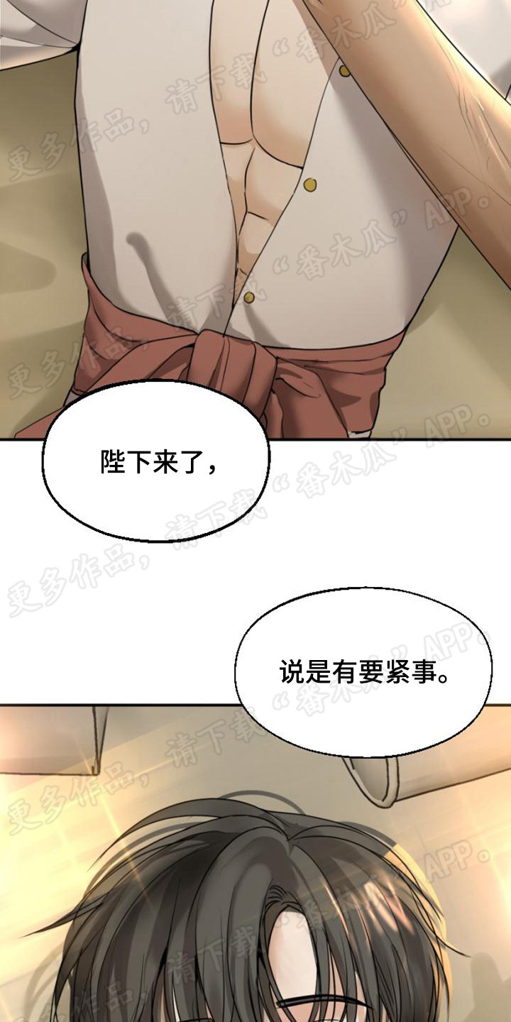 暹罗最美的少爷是什么品种漫画,第16章：召见2图