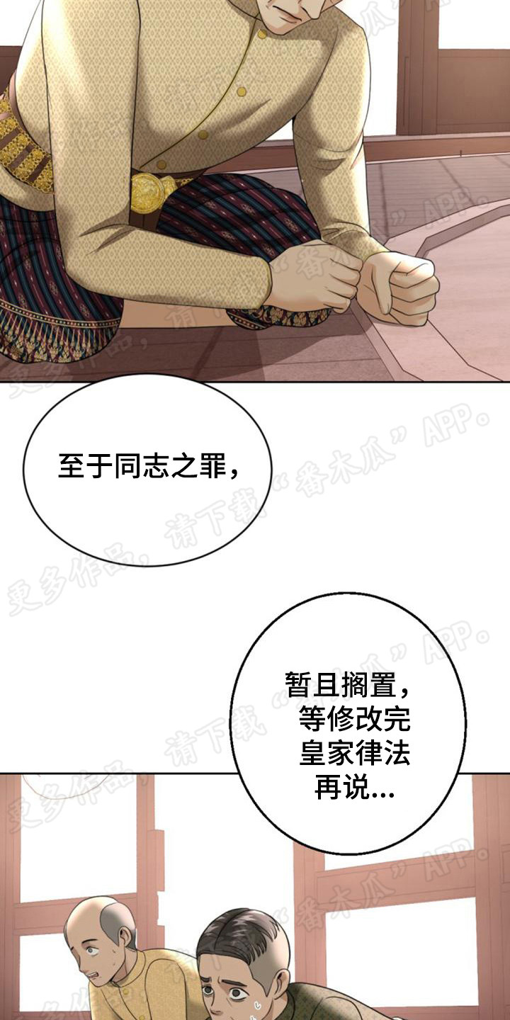 暹罗最美的少爷壁纸漫画,第63章：作出判决2图