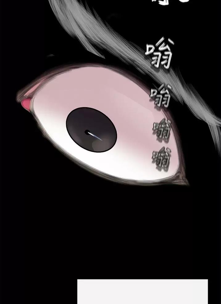私刑者全文免费阅读漫画,第19话1图