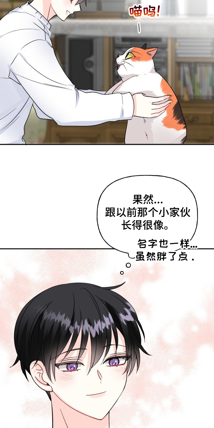 初恋重逢易沉泽小说在线阅读漫画,第103章：好像喵喵2图