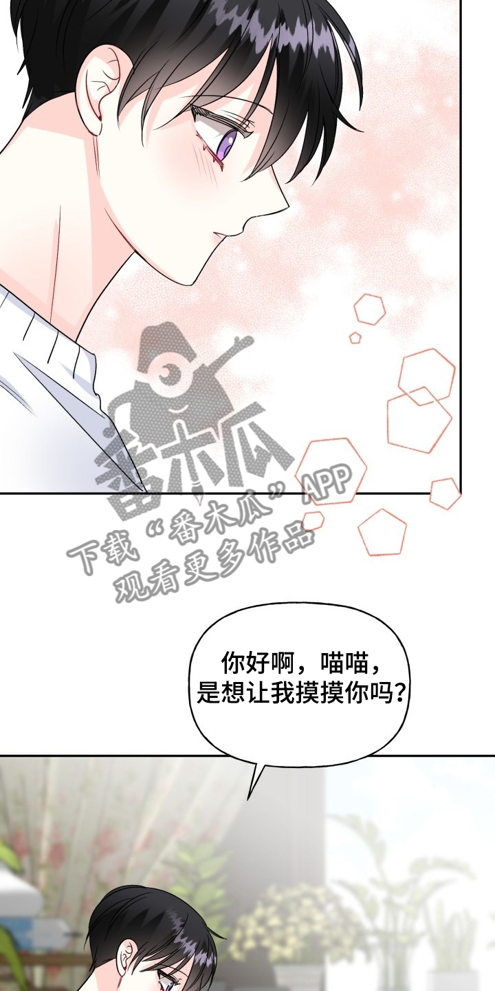 初恋重逢易沉泽小说在线阅读漫画,第103章：好像喵喵1图