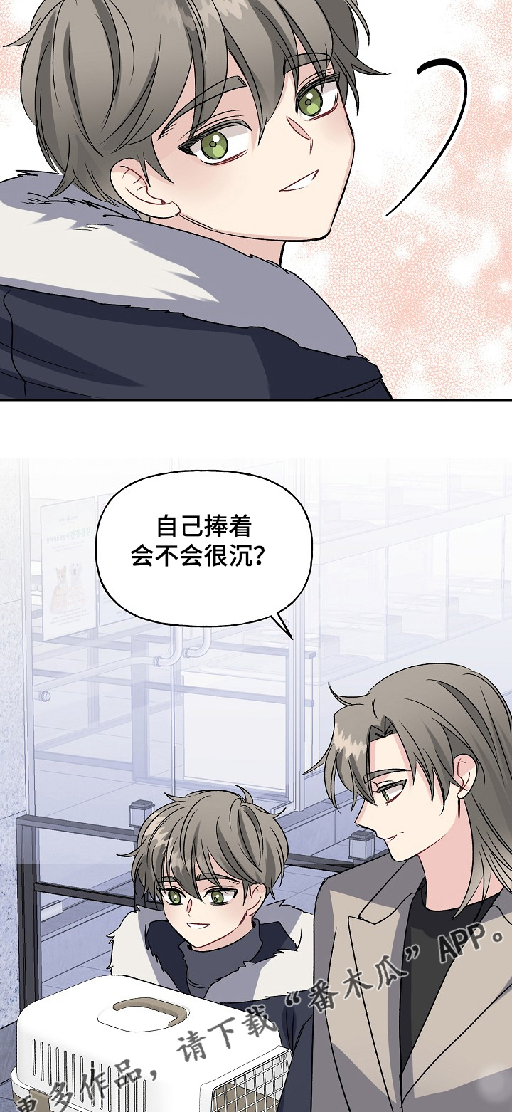 初恋重逢哭成泪人下漫画,第83章：天定的姻缘2图