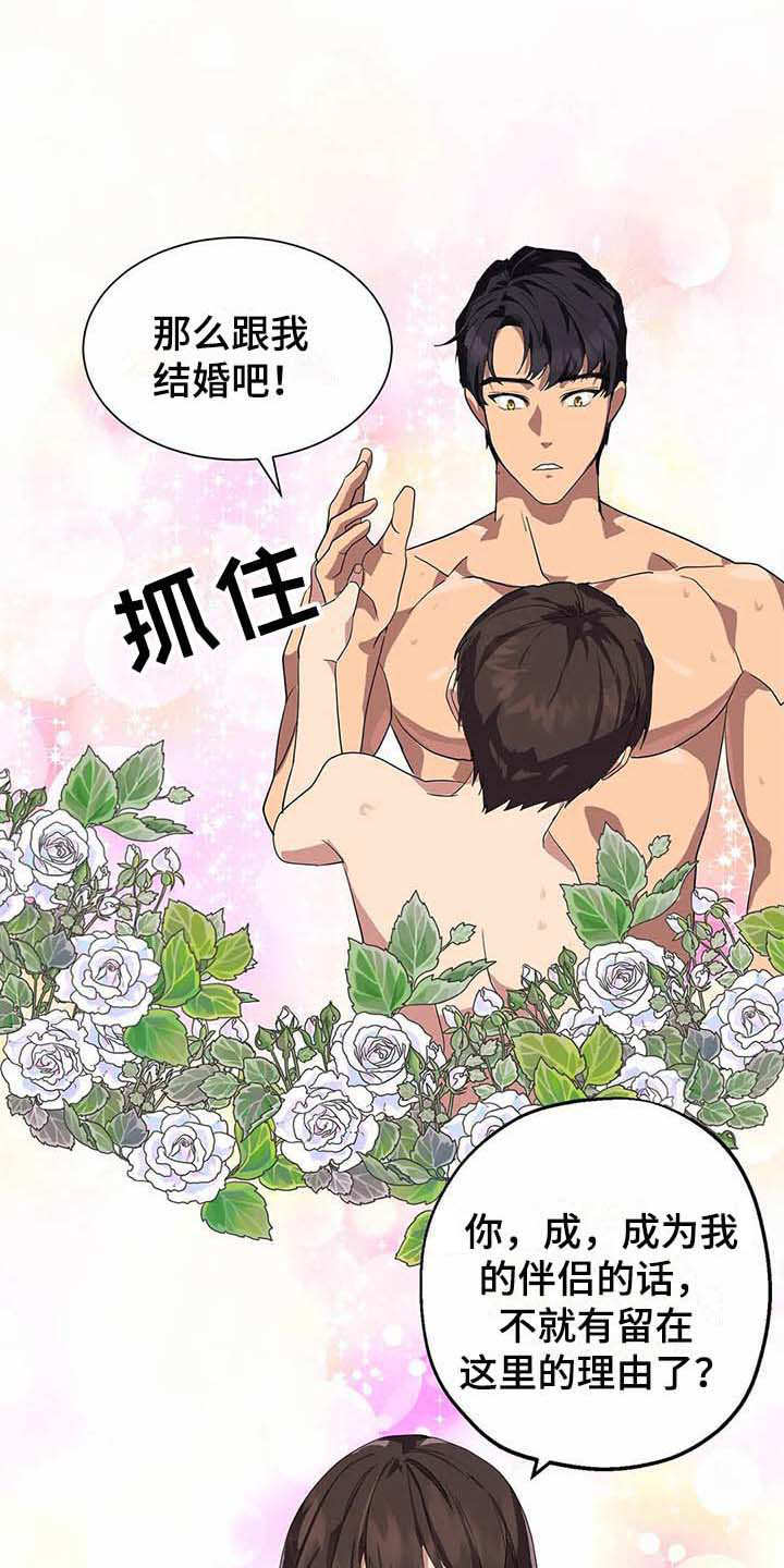 天降娘子来种田漫画,第15章：开花结果（完结）2图
