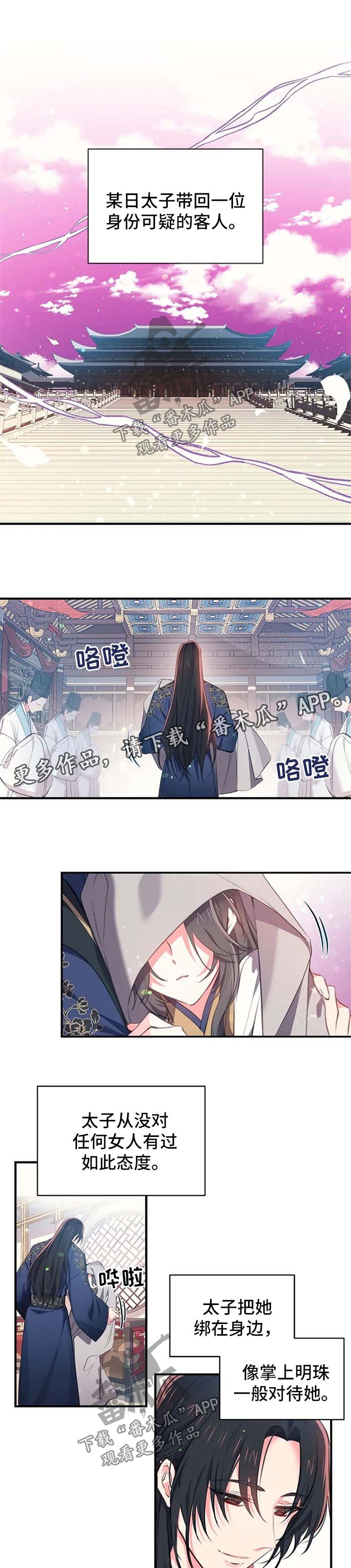 神女颂歌漫画在线观看漫画,第63章：可疑的客人1图