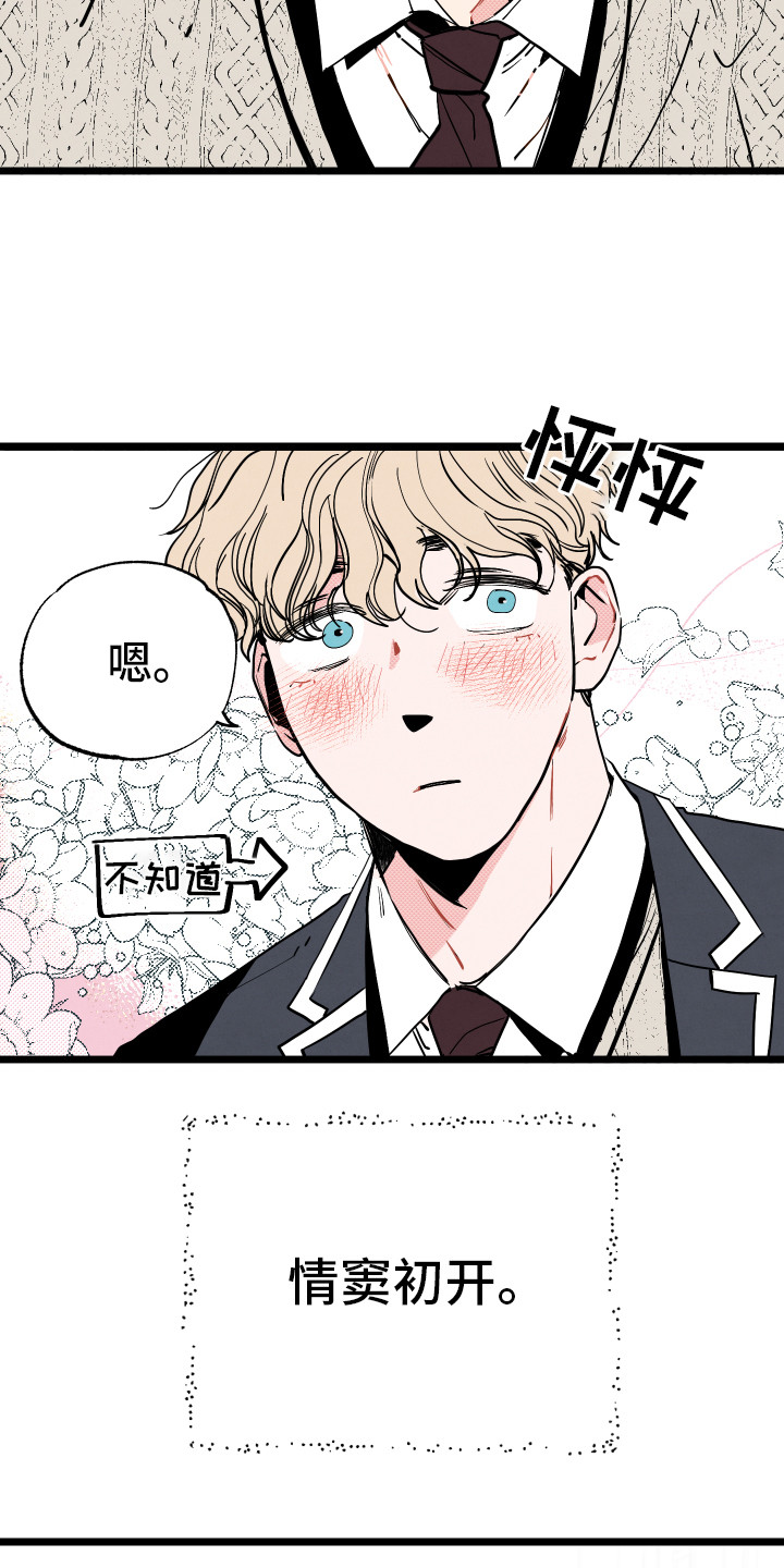 初恋脸图片漫画,第1章：情窦初开1图