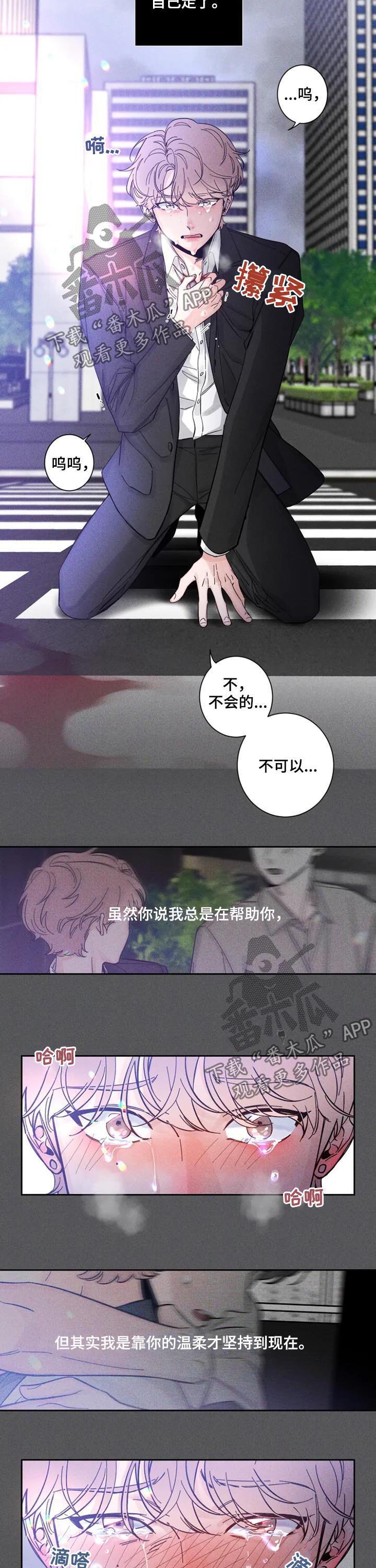 初见心动漫画免费阅读韩漫漫画,第42章：车祸2图