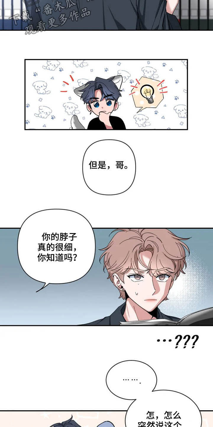 初见心动无删减版漫画,第69章：【第二季】介绍2图