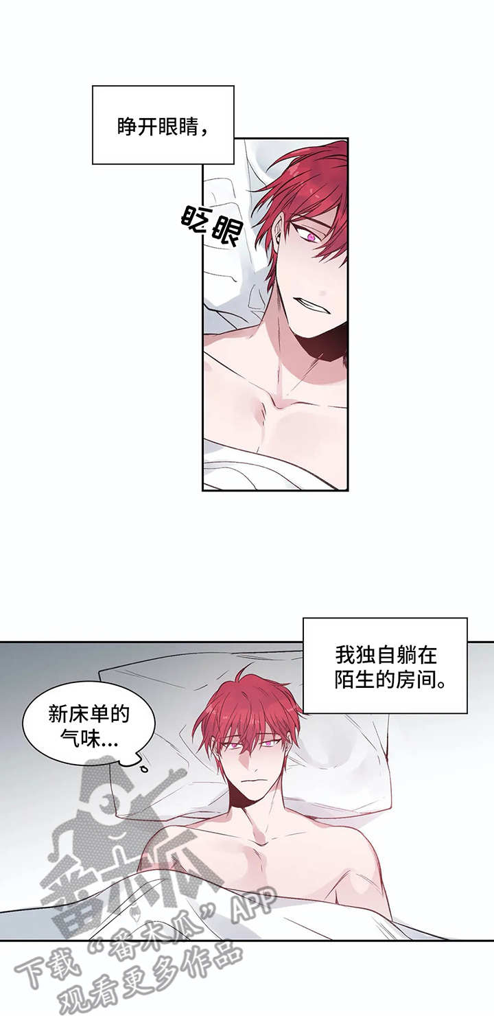 灼烧小说陈鹤征全文免费阅读漫画,第5章：很糟糕1图