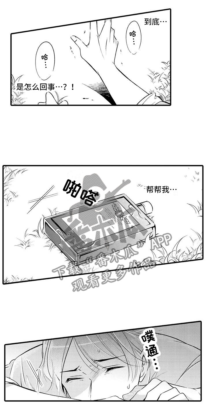 癫狂梦醒汤功效主治漫画,第5章：背后袭击1图