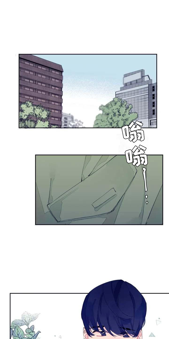 结婚学概论漫画,第3章：发消息1图