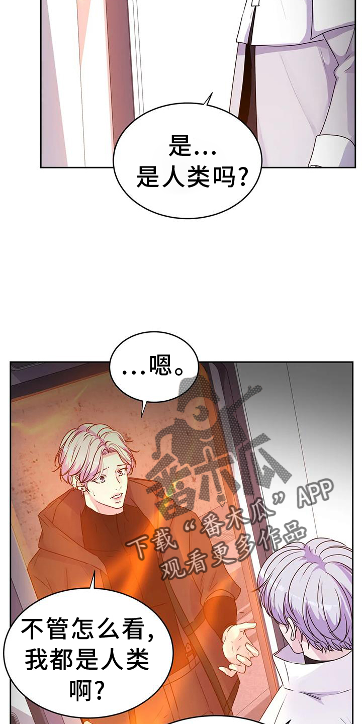 最后一片净土是哪里漫画,第69章：绝密2图