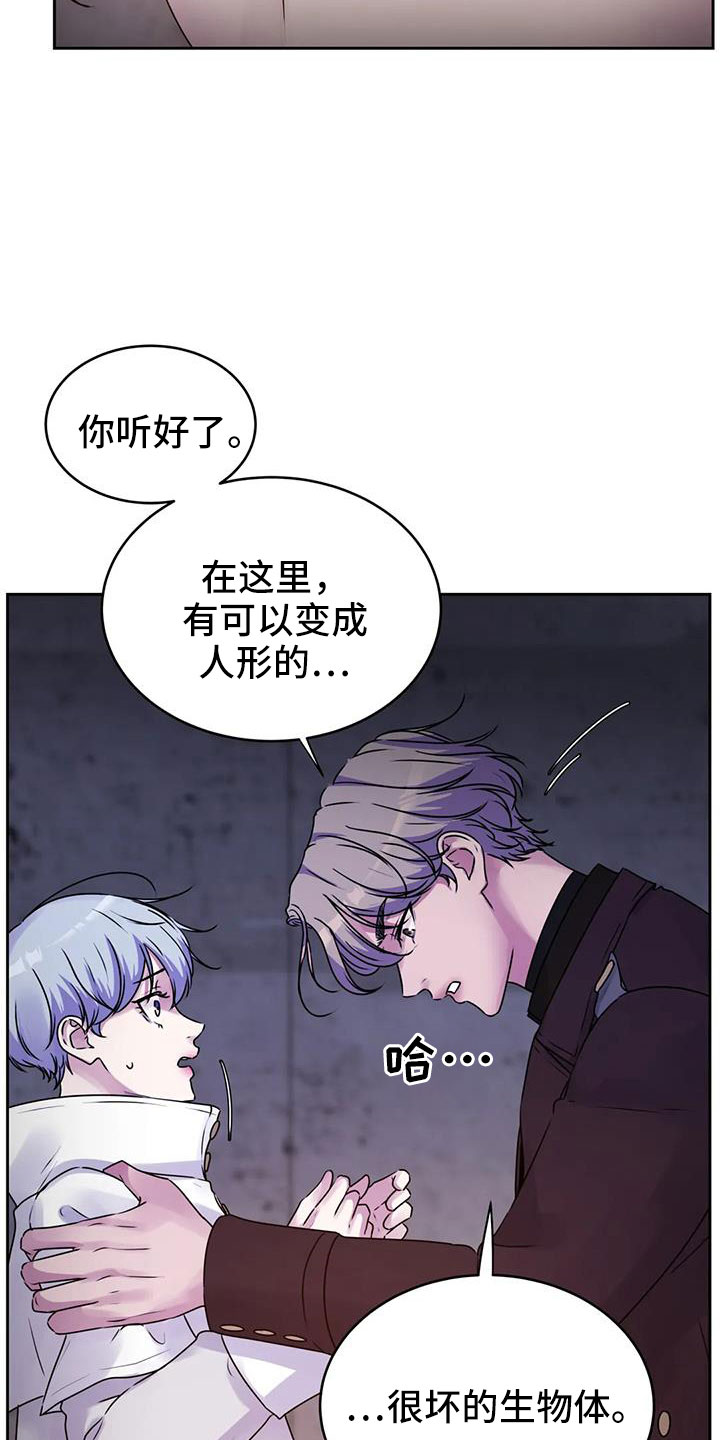 最后的净土漫画,第44章：不打算告诉我1图