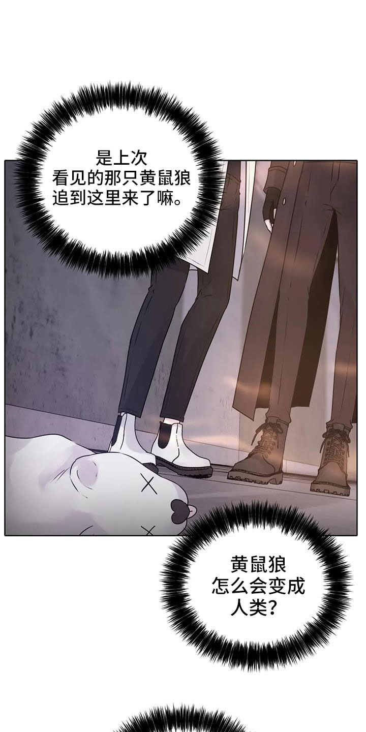 最后的净土漫画,第45章：该结束了1图