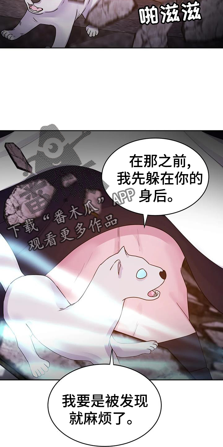 最后的净土漫画,第66章：诱饵2图