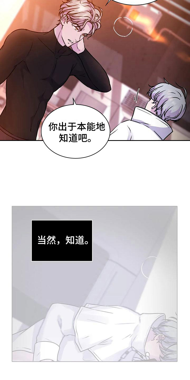 最后的净土漫画,第23章：指引2图