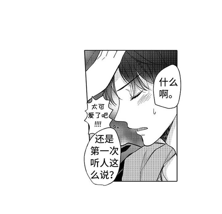 偶像暗恋漫画,第15章：蒸蒸日上2图
