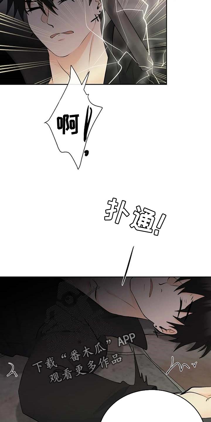 贴身使者漫画,第63章：武术比赛2图