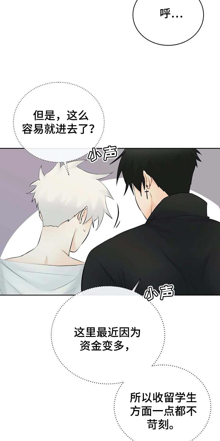 贴身使者漫画,第60章：逮捕2图