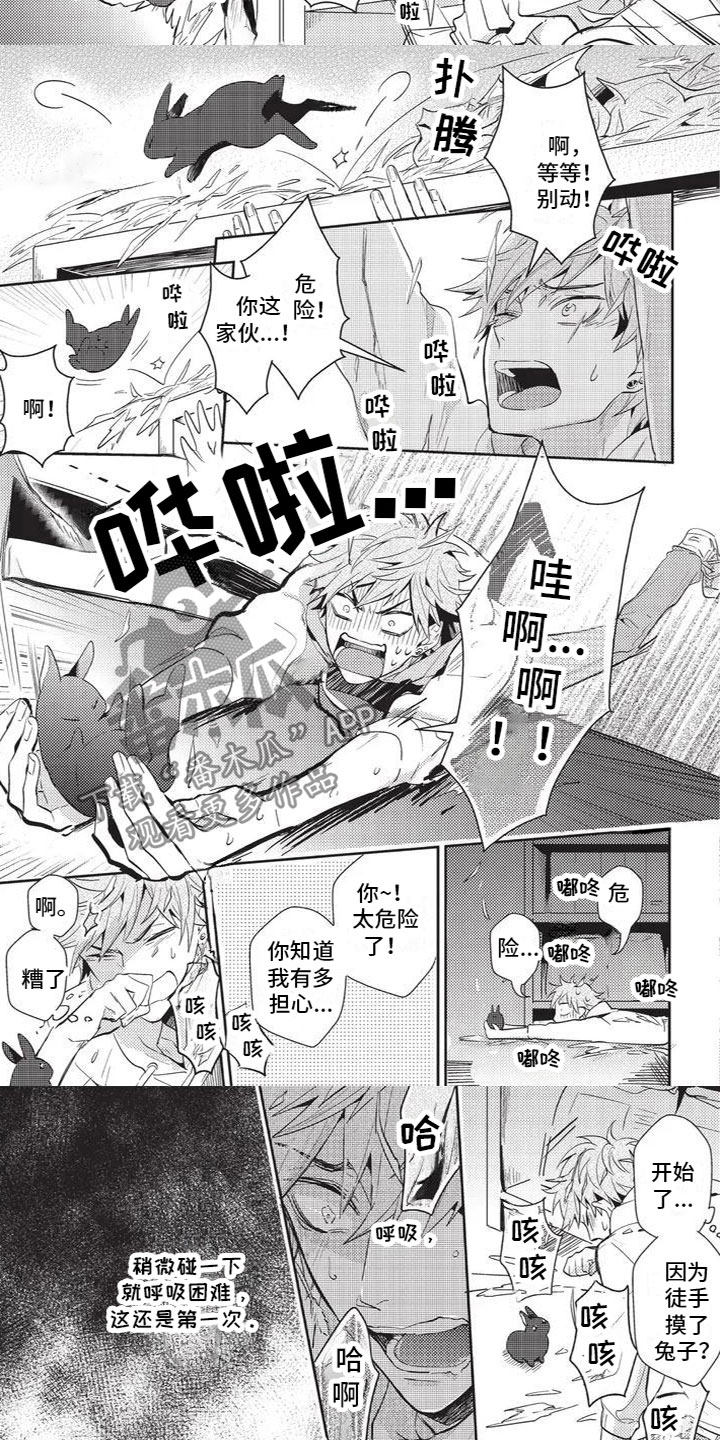 宠物敏感期漫画,第4章：被发现了2图