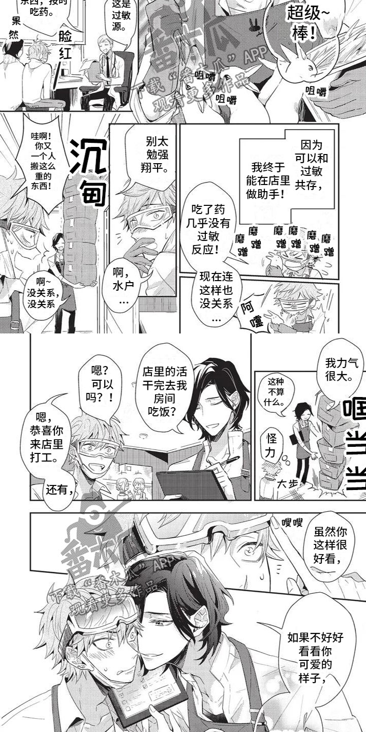 宠物视频漫画,第6章：好幸福2图