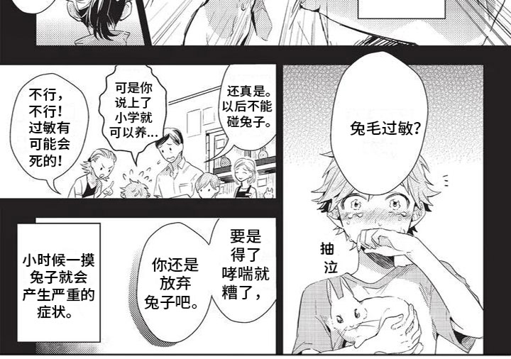 宠物敏感有哪些症状漫画,第1章：兔毛过敏1图