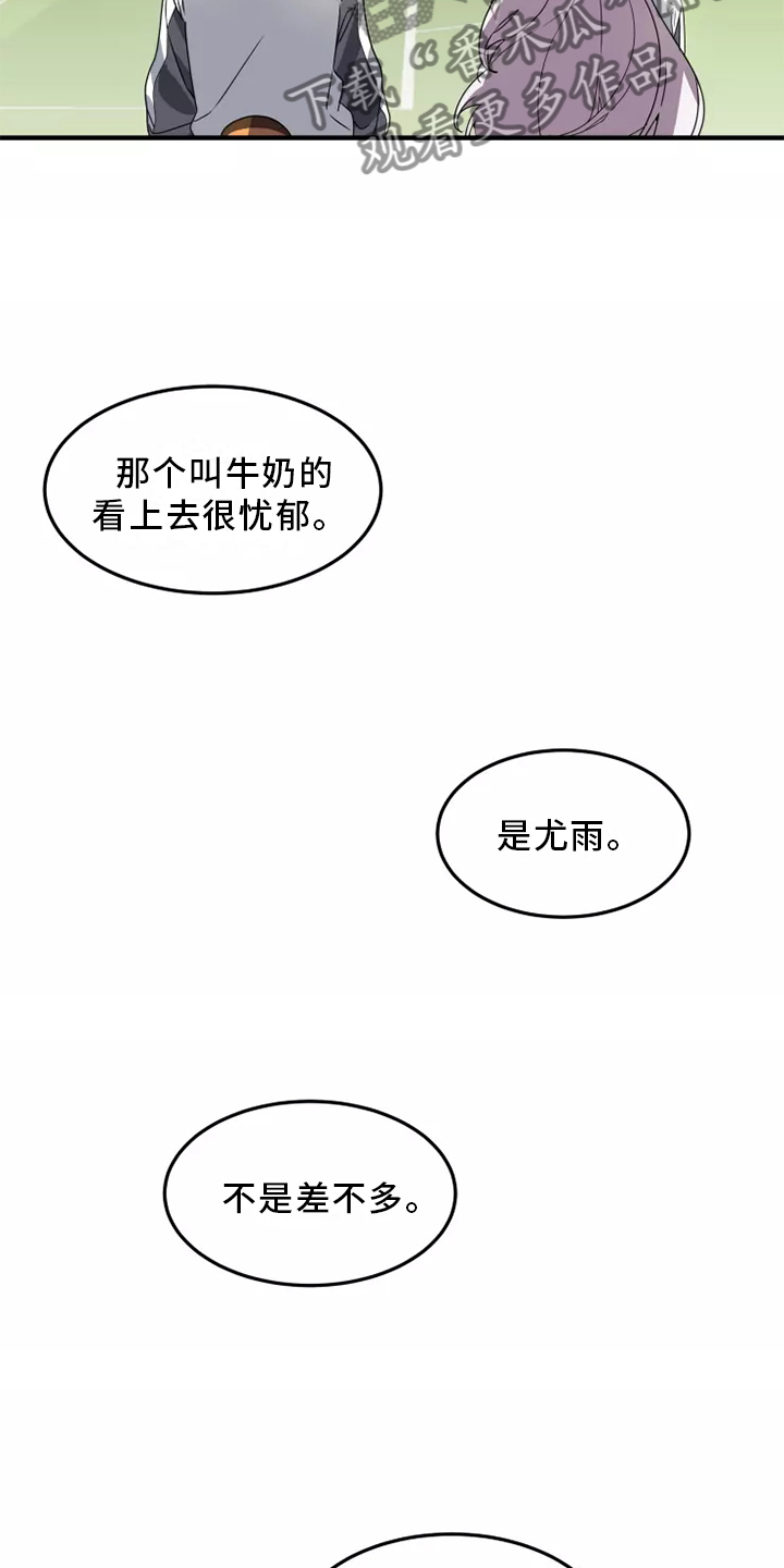 动物大全漫画,第38章：庆典1图