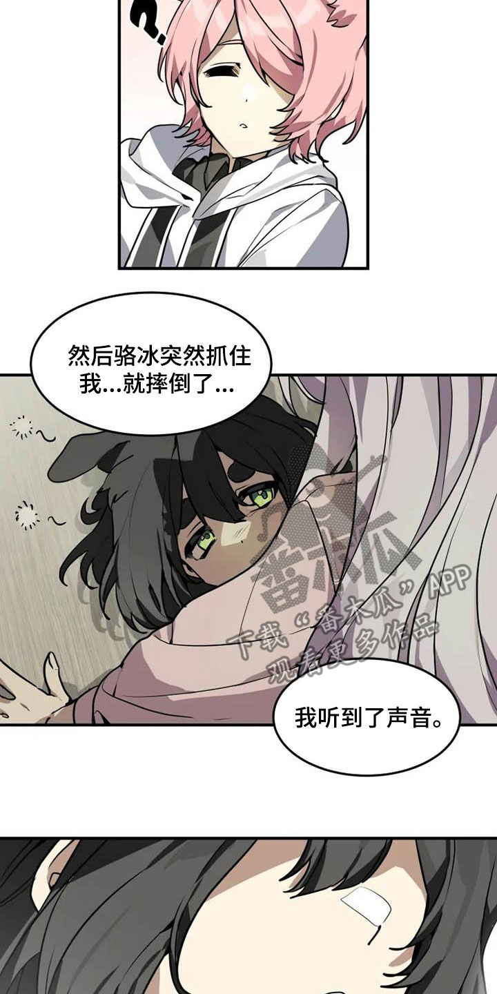 动物校园漫画推荐漫画,第20章：一群笨蛋1图