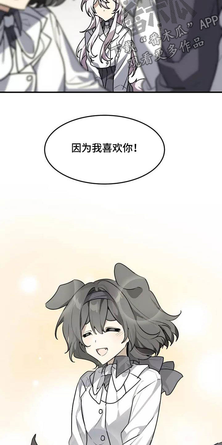 动物小报漫画,第34章：传达2图