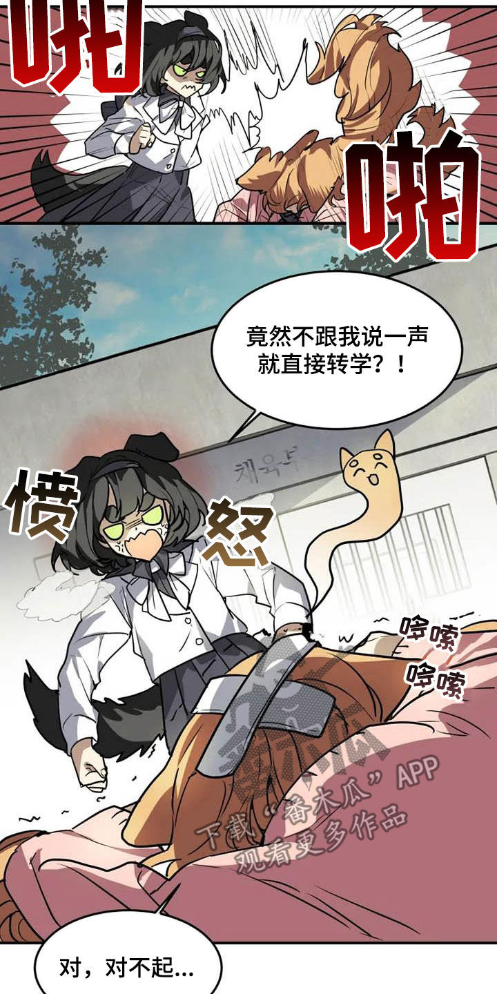 动物消消乐漫画,第23章：态度转变1图