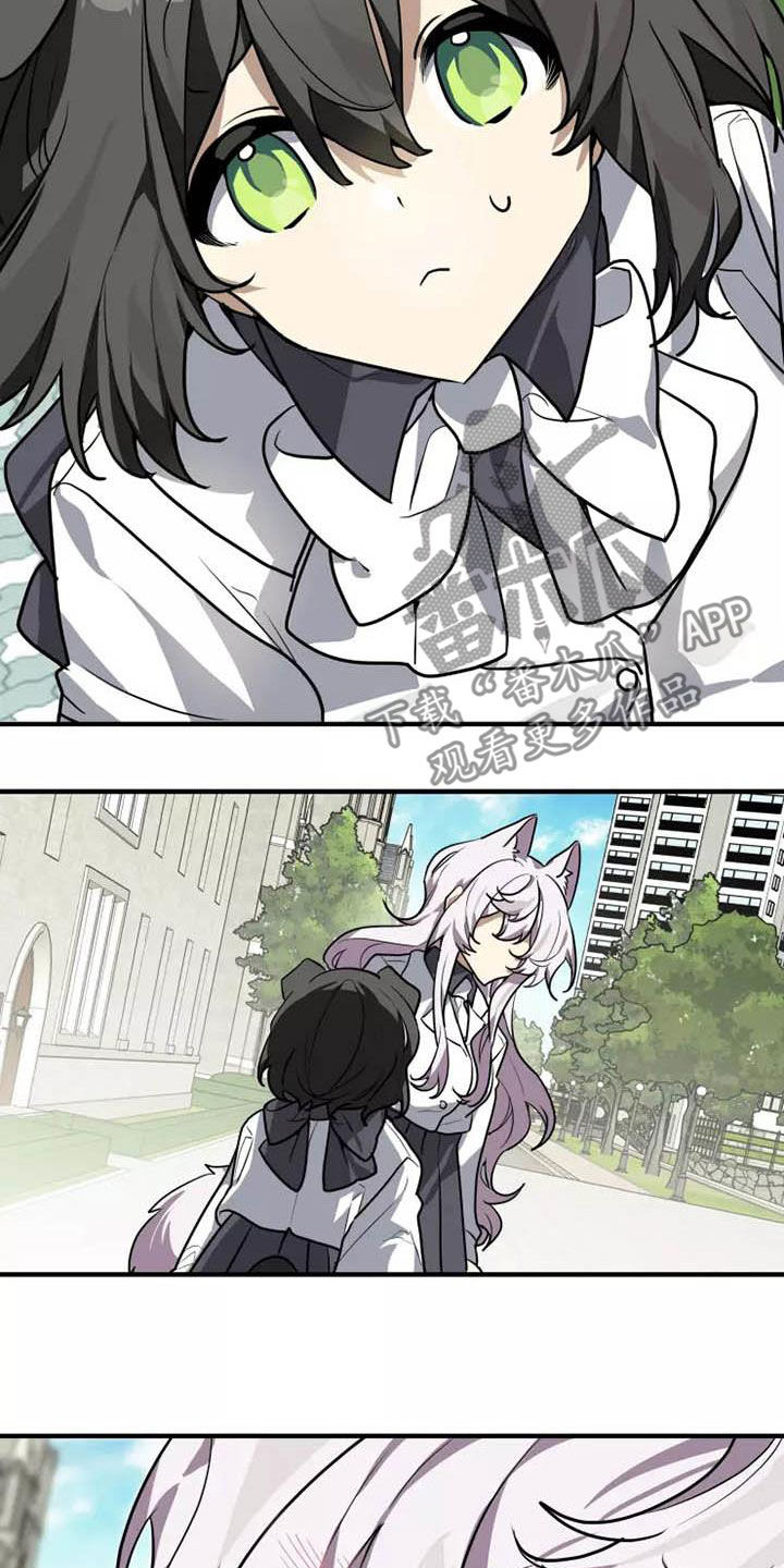 动物校园漫画,第34章：传达2图