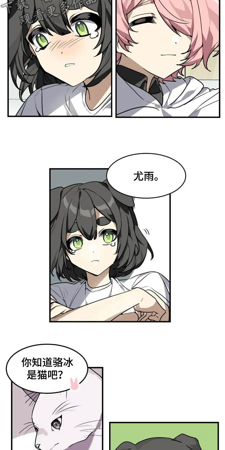 动物校园动漫解说漫画,第19章：分析2图