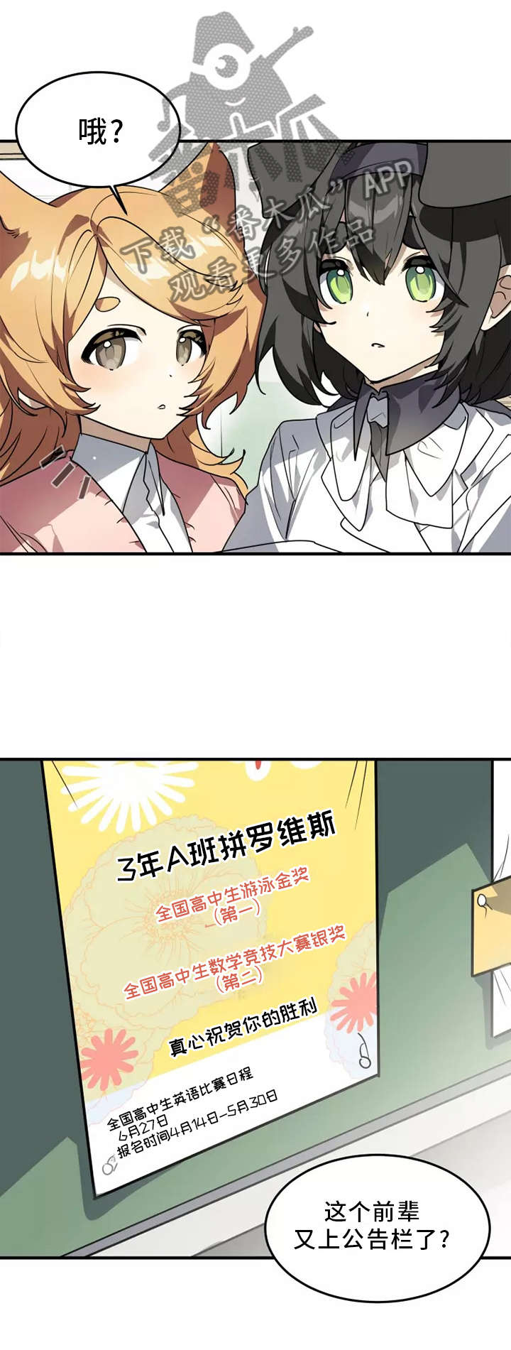 动物小说解说视频完整漫画,第38章：庆典1图