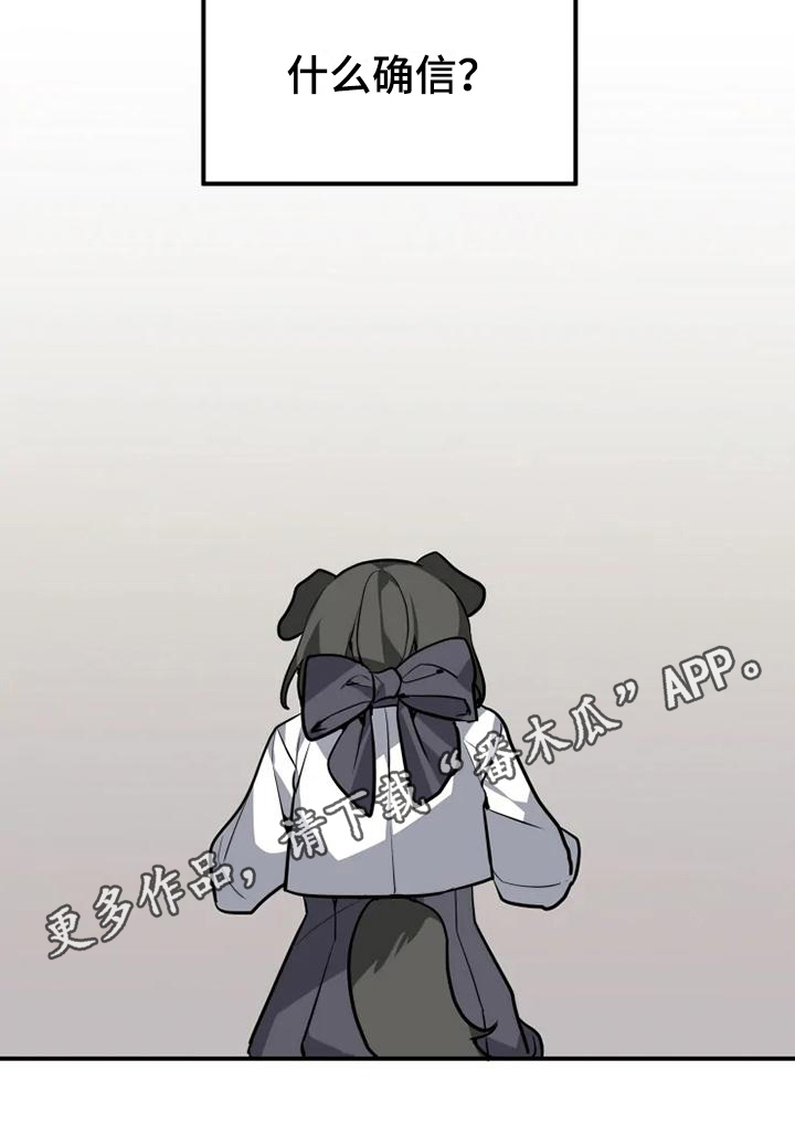 动物小说解说视频完整漫画,第13章：确信1图