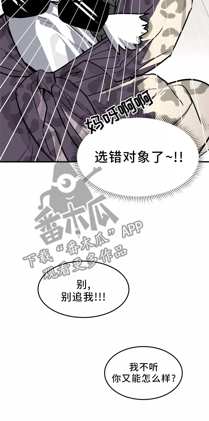 动物小说解说视频完整漫画,第39章：触动2图
