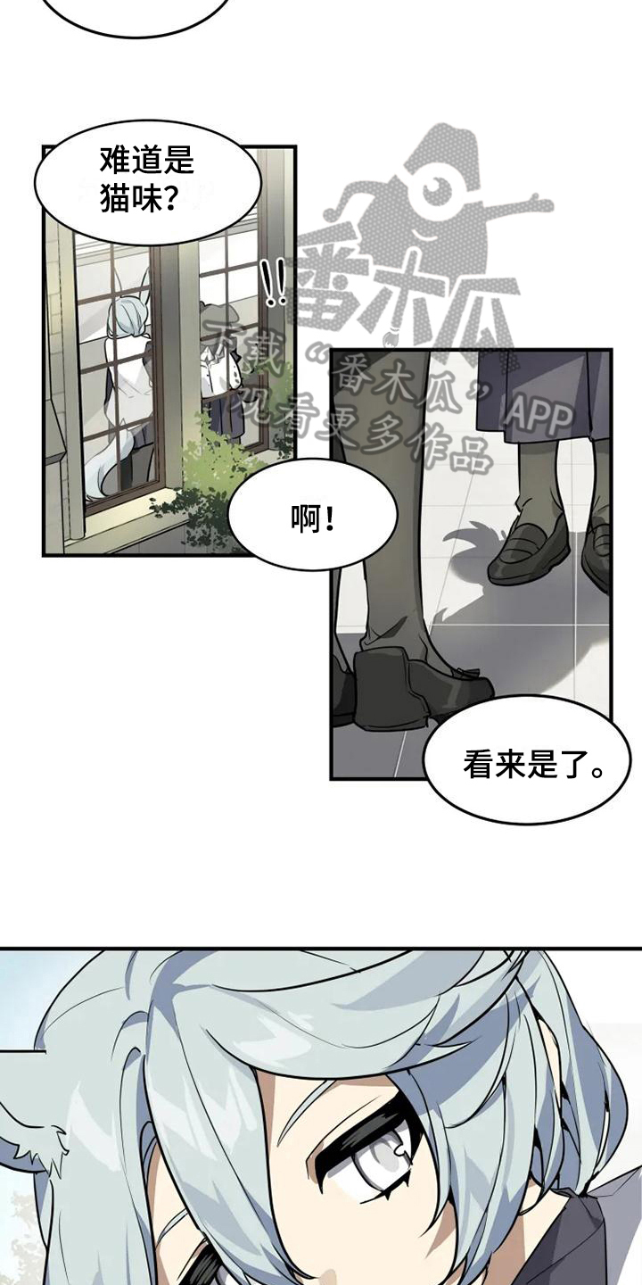 动物校园漫画在线免费看全集漫画,第6章：带路1图