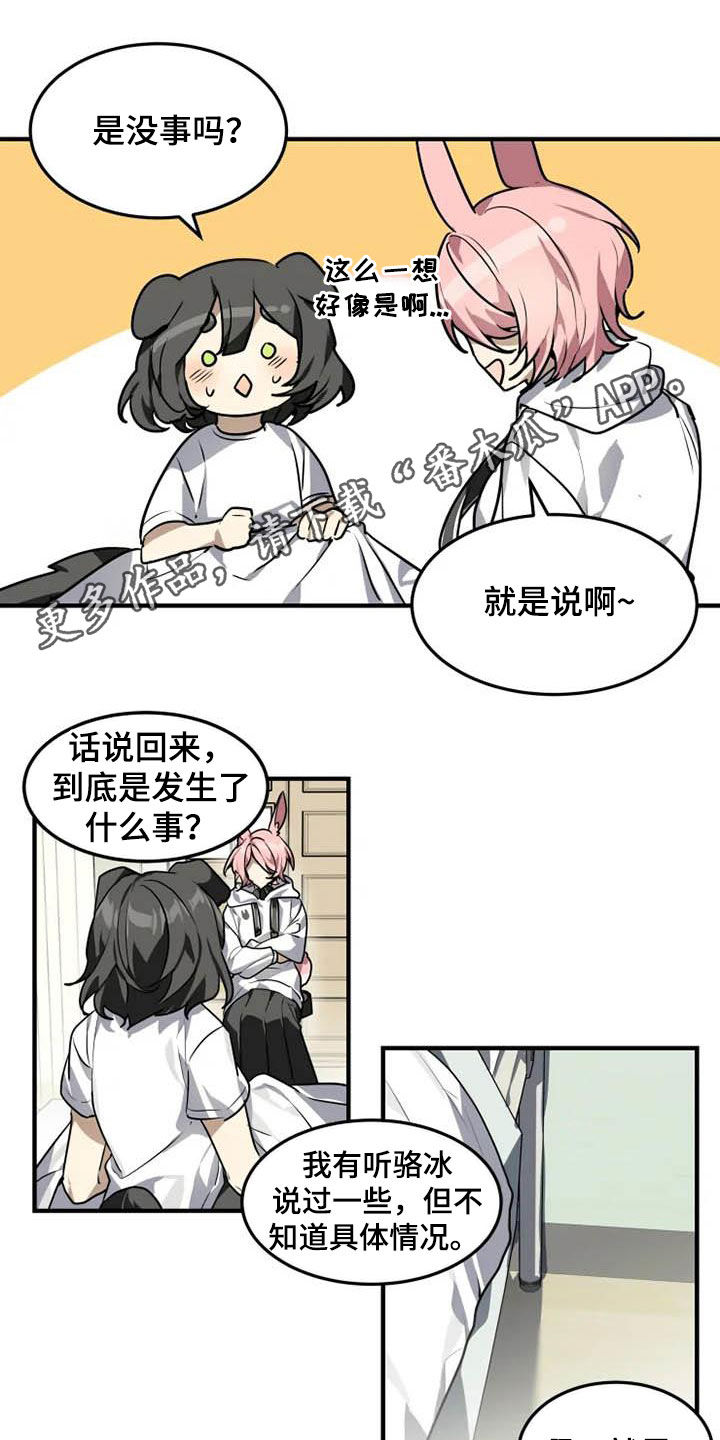 动物校园照漫画,第20章：一群笨蛋1图