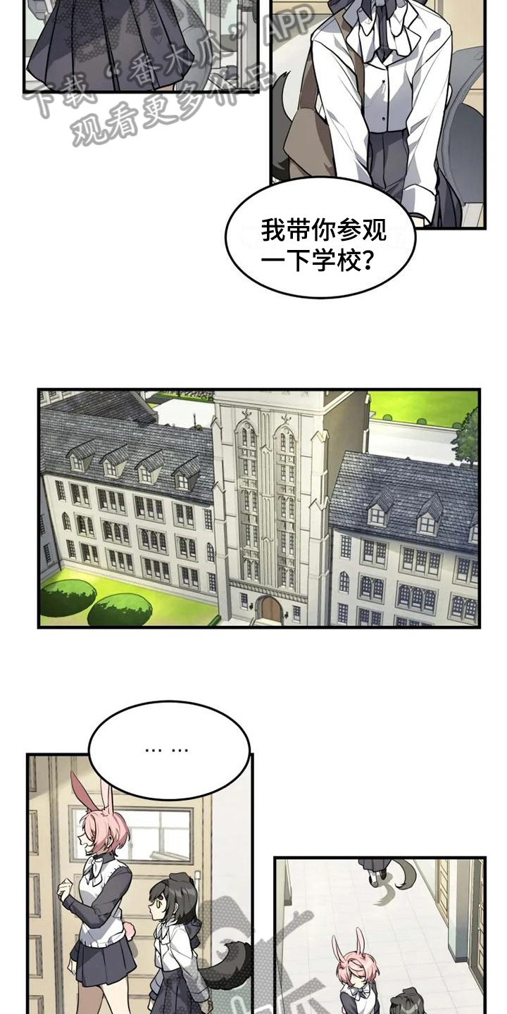 动物大全马类漫画,第4章：班长1图