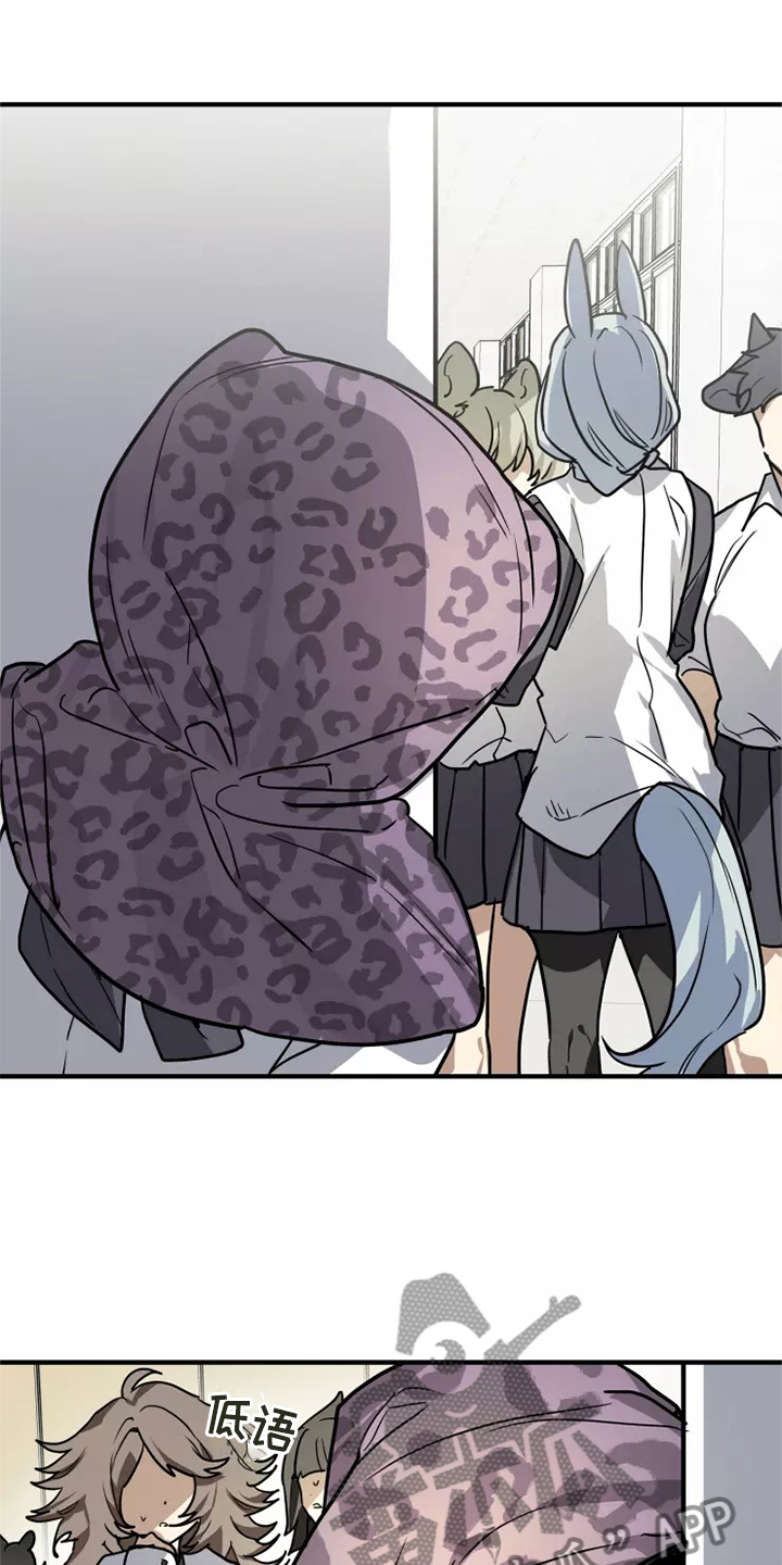 动物小说解说视频完整漫画,第39章：触动1图