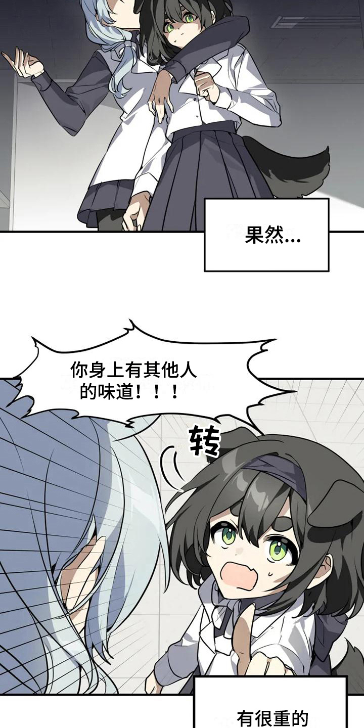 动物校园动漫解说漫画,第6章：带路1图