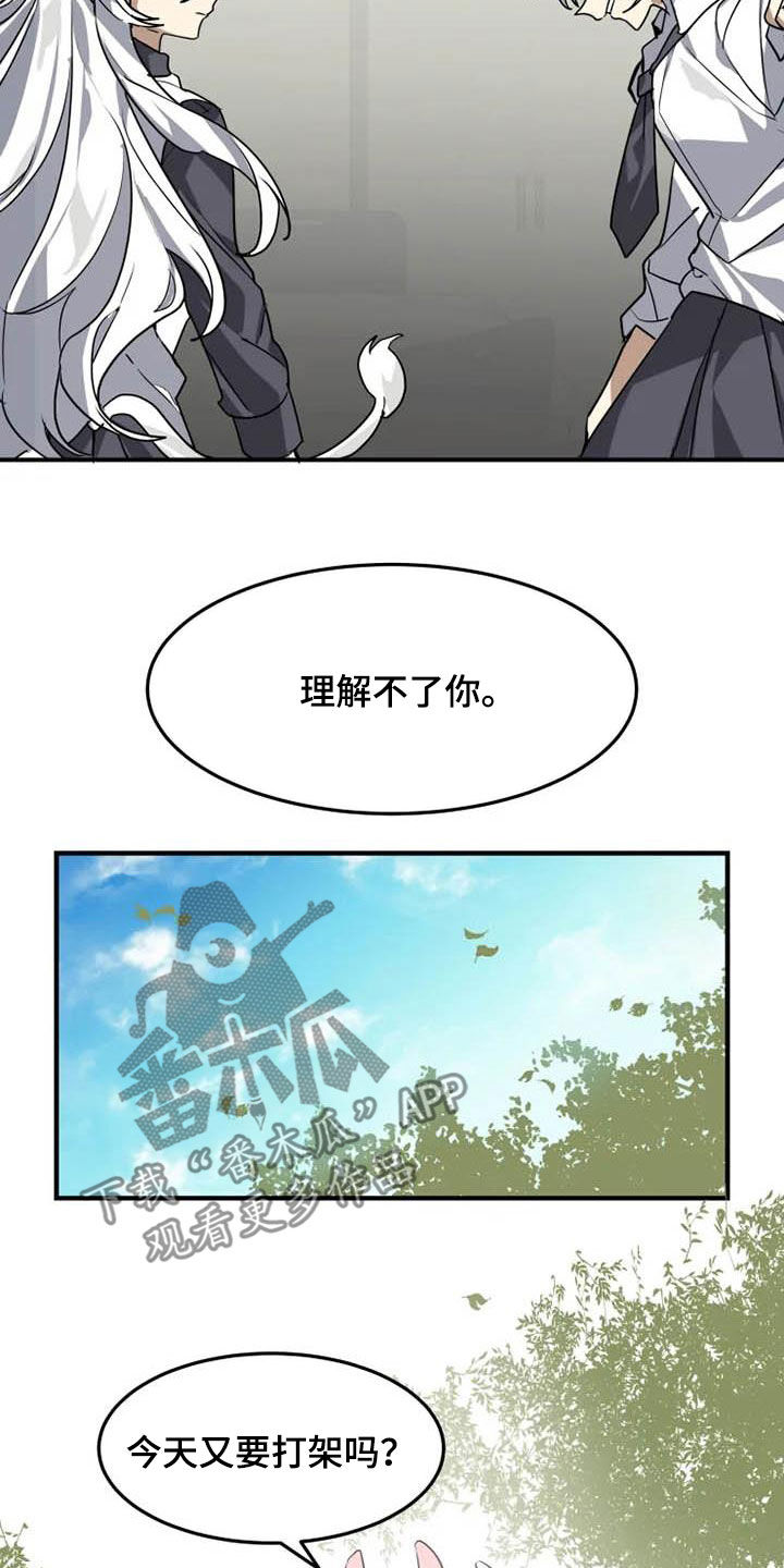 动物小说解说视频完整漫画,第20章：一群笨蛋1图