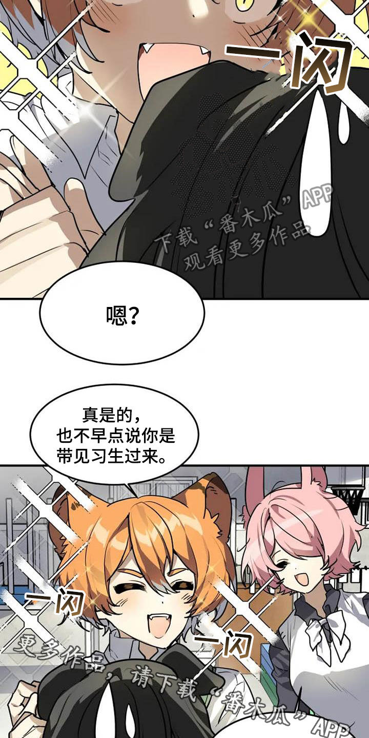 动物消消乐漫画,第23章：态度转变2图