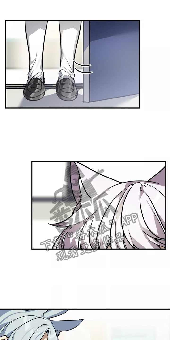 动物校园动画片漫画,第41章：阻挠1图