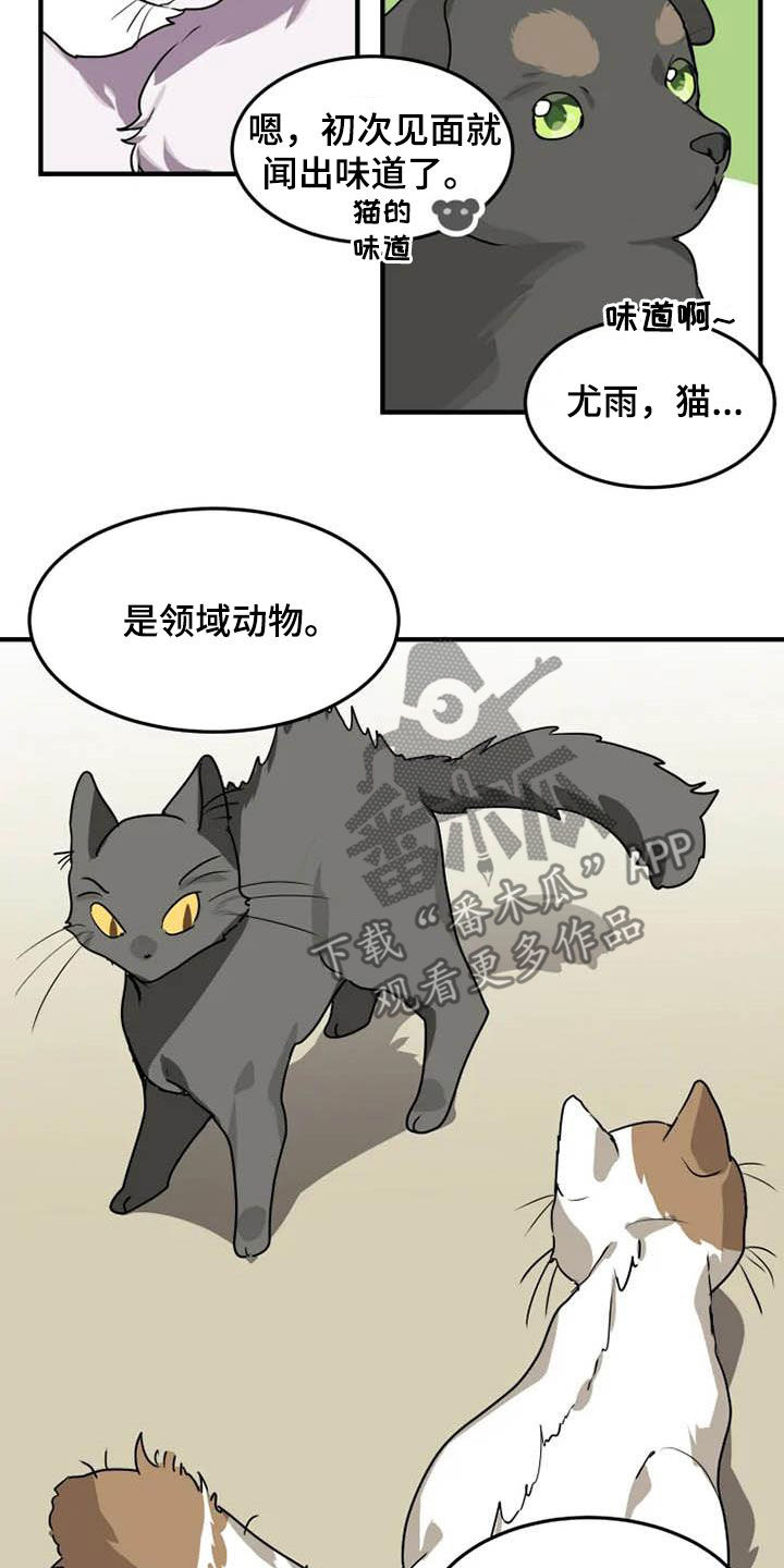 动物校园动漫解说漫画,第19章：分析1图