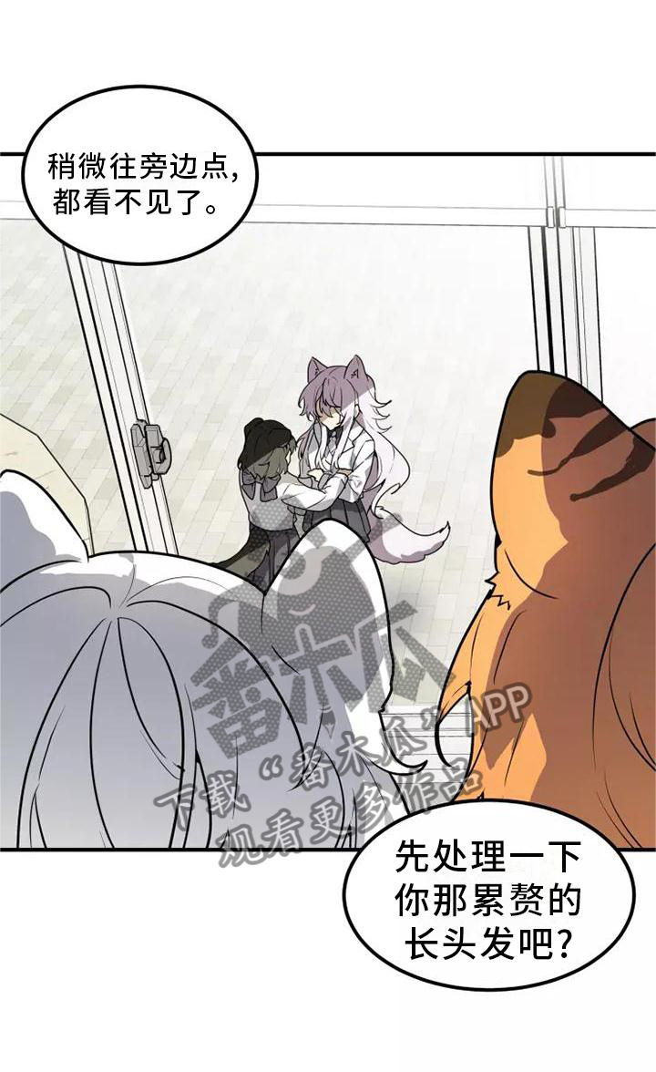 动物校园漫画,第47章：旁观1图