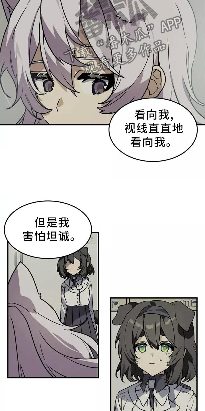 动物校园动漫解说漫画,第48章：证据1图