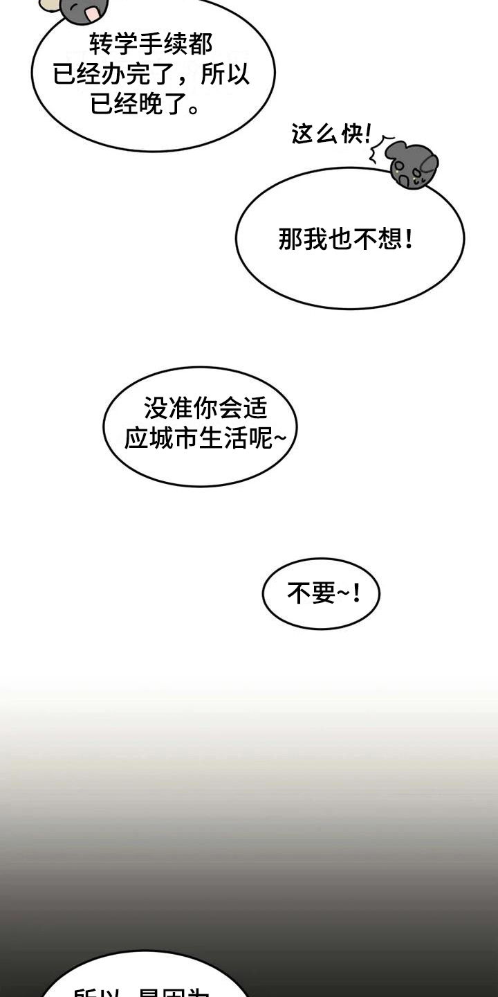 动物大全马类漫画,第4章：班长1图