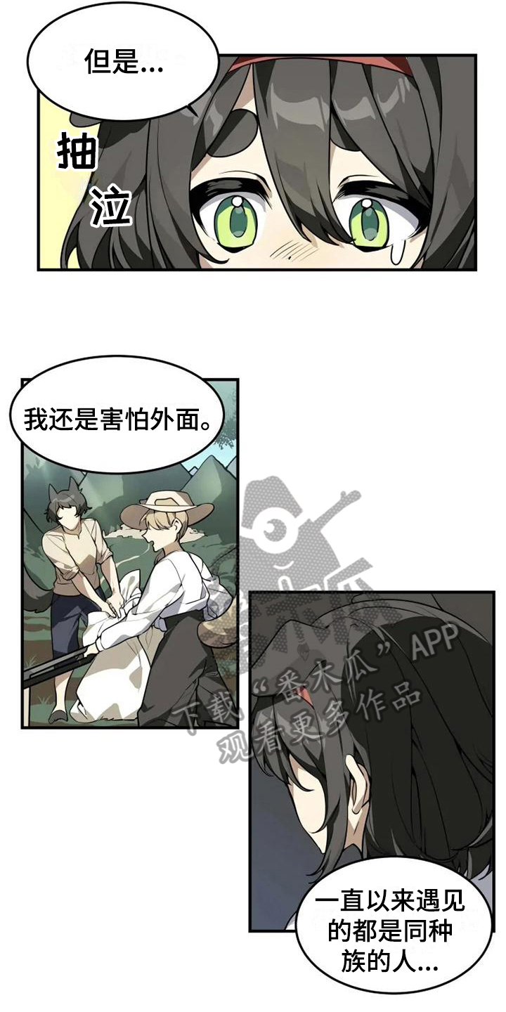 动物大全马类漫画,第4章：班长1图