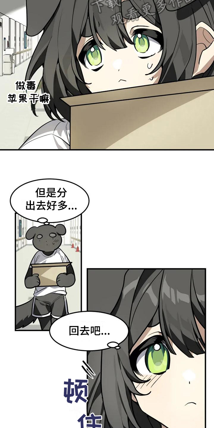 动物校园漫画在线免费看全集漫画,第16章：邀请1图